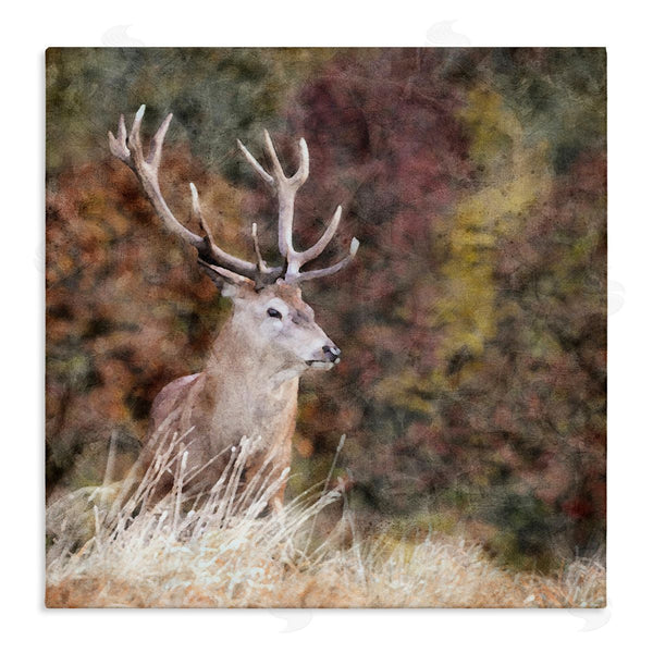 stupell industries LSR Design Studio | Deer in Forest Nature Wall Art
