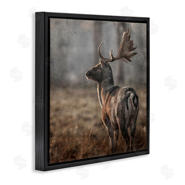Stupell Industries LSR Design Studio | Moose In Woodland Scene Wall Art