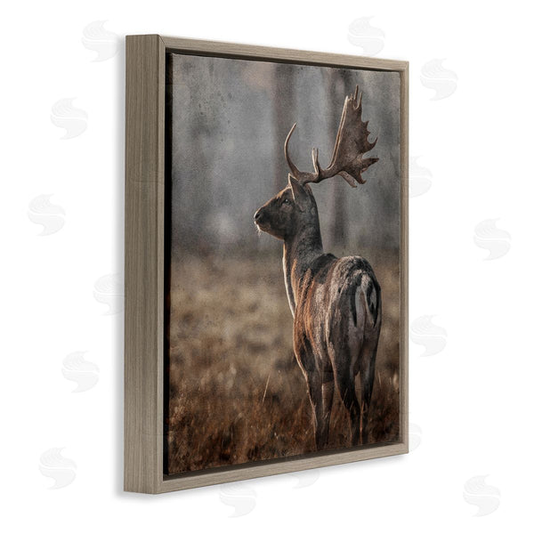 Stupell Industries LSR Design Studio | Moose In Woodland Scene Wall Art