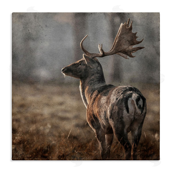 stupell industries LSR Design Studio | Moose in Woodland Scene Wall Art