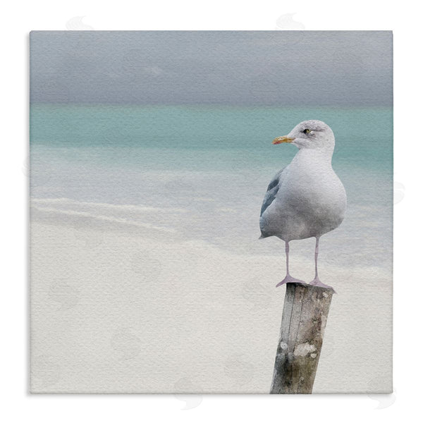 stupell industries LSR Design Studio | Seagull Perched by Shore Wall Art