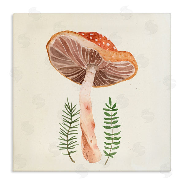 stupell industries Lucca Sheppard | Cottage Mushroom Forest Plants Wall Art