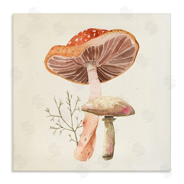 stupell industries Lucca Sheppard | Forest Botanical Woodland Plants Wall Art