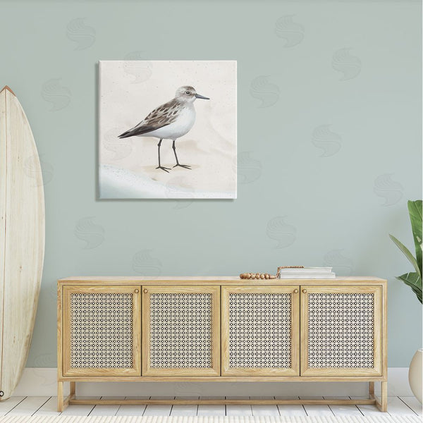 Stupell Industries Lucca Sheppard | Sandpiper Bird At Water's Edge Beach Shoreline Wall Art