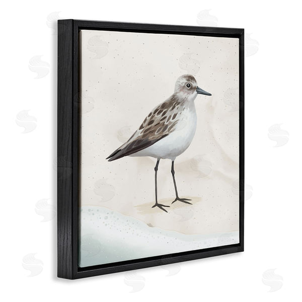 Stupell Industries Lucca Sheppard | Sandpiper Bird At Water's Edge Beach Shoreline Wall Art