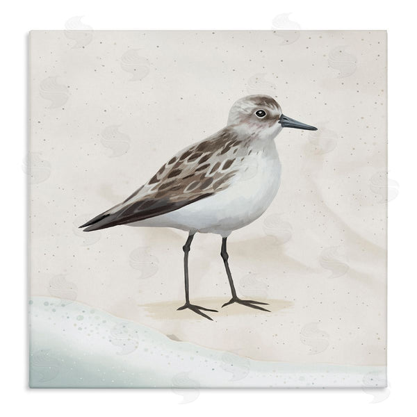stupell industries Lucca Sheppard | Sandpiper Bird at Water's Edge Beach Shoreline Wall Art