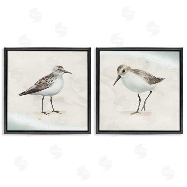 Stupell Industries Lucca Sheppard | Soothing Sandpiper Bird Stepping Wall Art