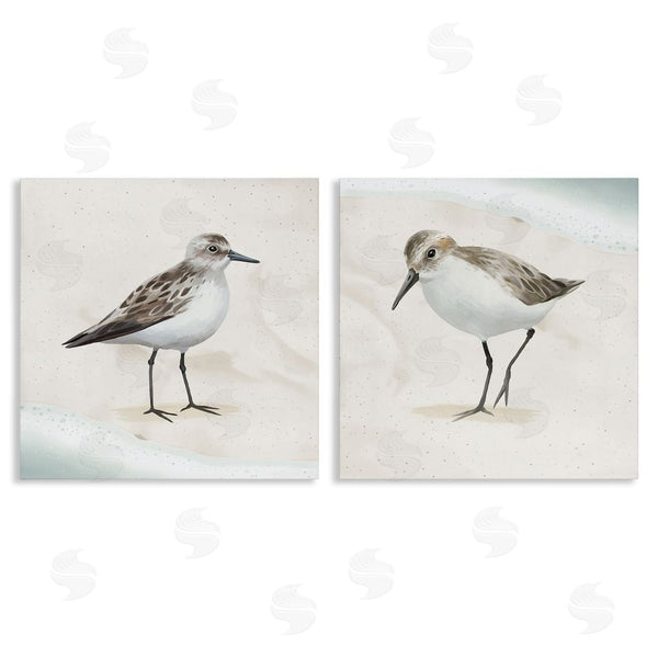 stupell industries Lucca Sheppard | Soothing Sandpiper Bird Stepping Wall Art
