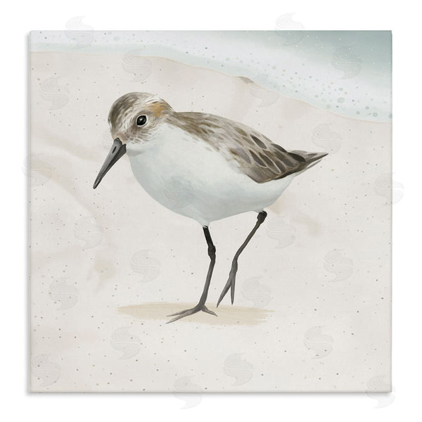 stupell industries Lucca Sheppard | Stepping Sandpiper Bird Ocean Shoreline Beach Scene Wall Art