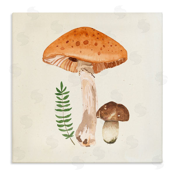 stupell industries Lucca Sheppard | Woodland Mushroom Botanical Fern Wall Art