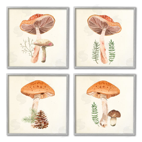 Stupell Industries Lucca Sheppard | Woodland Mushroom Botanical Sprouts Wall Art