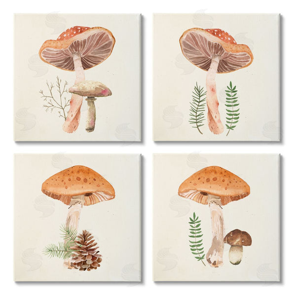 stupell industries Lucca Sheppard | Woodland Mushroom Botanical Sprouts Wall Art