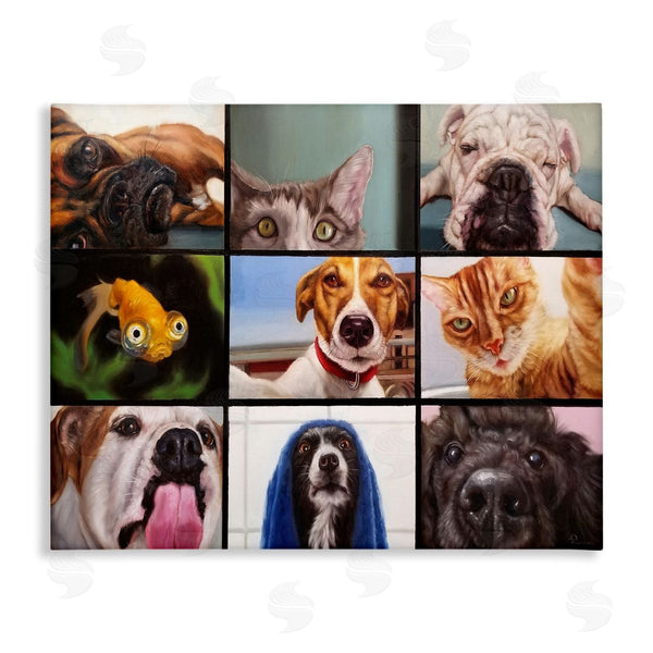 stupell industries Lucia Heffernan | Animal Video Chat Meeting Office Pet Humor