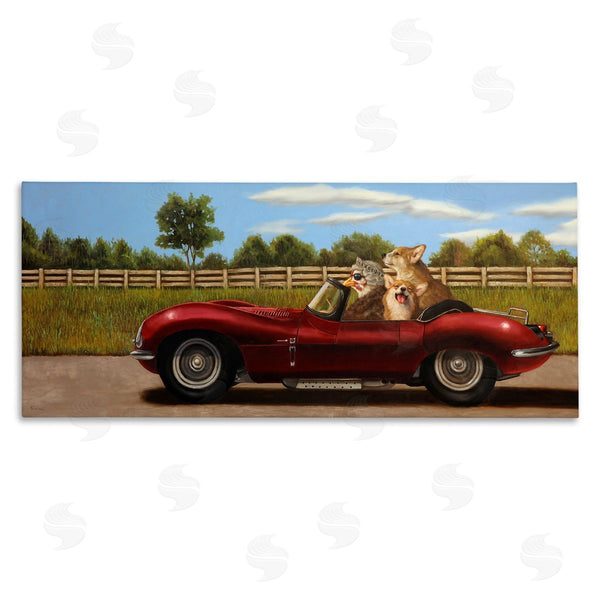 stupell industries Lucia Heffernan | Animals in Sports Car Wall Art