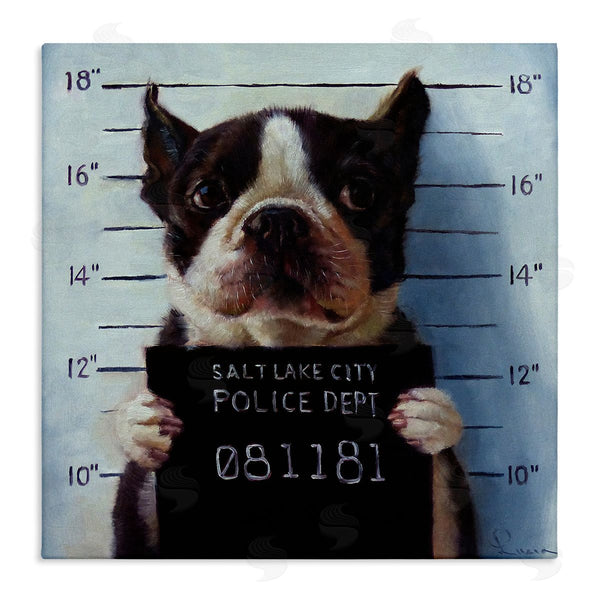 stupell industries Lucia Heffernan | Boston Terrier Jail Convicted Mugshot Wall Art