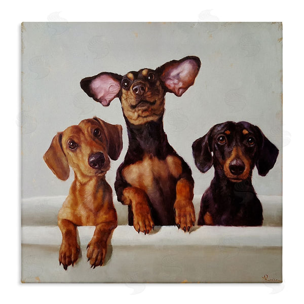 stupell industries Lucia Heffernan | Dachshunds in Bathtub