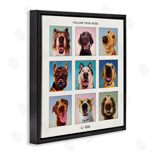 Stupell Industries Lucia Heffernan | Follow Your Nose Dogs