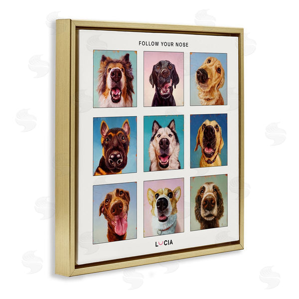 Stupell Industries Lucia Heffernan | Follow Your Nose Dogs