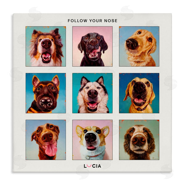 stupell industries Lucia Heffernan | Follow Your Nose Dogs