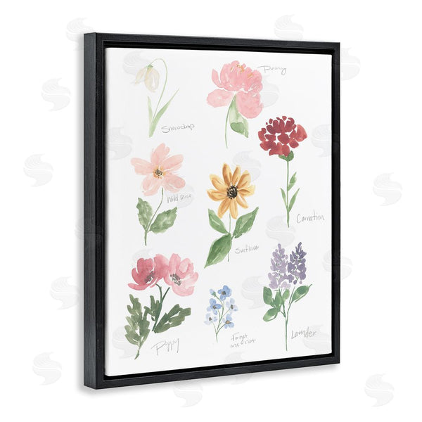 Stupell Industries Lucille Price | Labeled Flower Varieties Wall Art