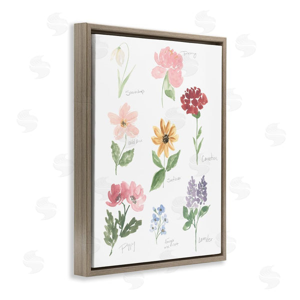 Stupell Industries Lucille Price | Labeled Flower Varieties Wall Art