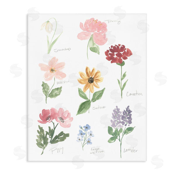 stupell industries Lucille Price | Labeled Flower Varieties Wall Art