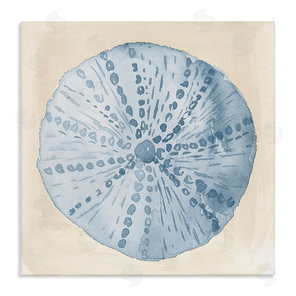 stupell industries Lucille Price | Nautical Sea Life Round Shell Wall Art