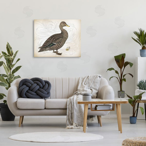 Stupell Industries Lula Bijoux & Co. | Patterned Vintage Duck Wall Art