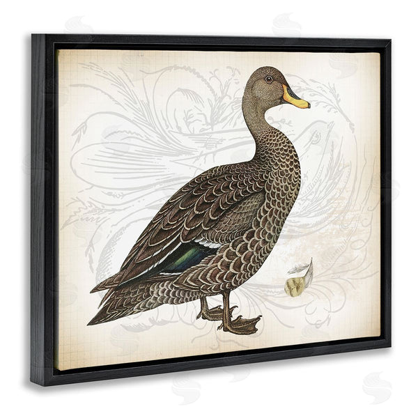 Stupell Industries Lula Bijoux & Co. | Patterned Vintage Duck Wall Art
