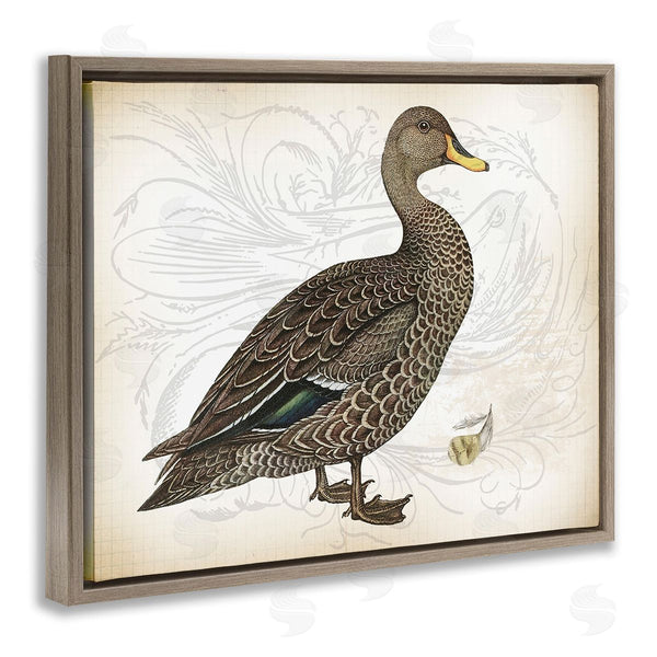 Stupell Industries Lula Bijoux & Co. | Patterned Vintage Duck Wall Art