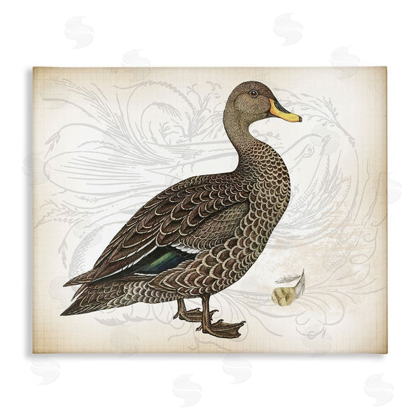stupell industries Lula Bijoux & co. | Patterned Vintage Duck Wall Art