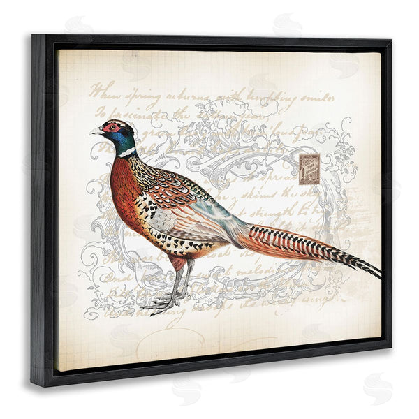 Stupell Industries Lula Bijoux & Co. | Pheasant & Vintage Pattern Wall Art