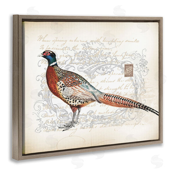 Stupell Industries Lula Bijoux & Co. | Pheasant & Vintage Pattern Wall Art
