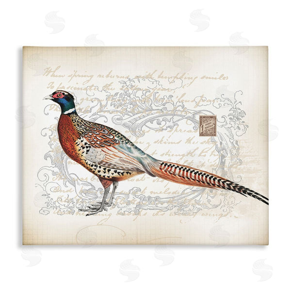 stupell industries Lula Bijoux & co. | Pheasant & Vintage Pattern Wall Art