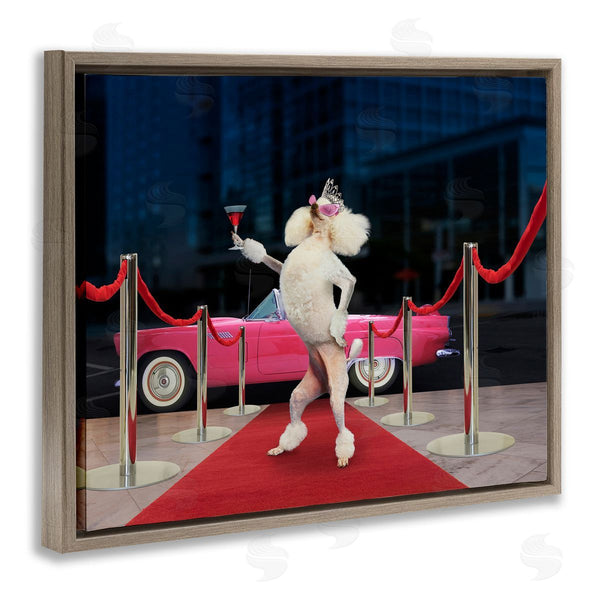 Stupell Industries Lund Roeser | Funny Red Carpet Poodle Wall Art
