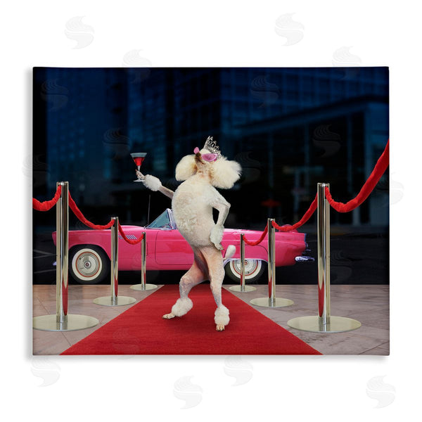 stupell industries Lund Roeser | Funny Red Carpet Poodle Wall Art