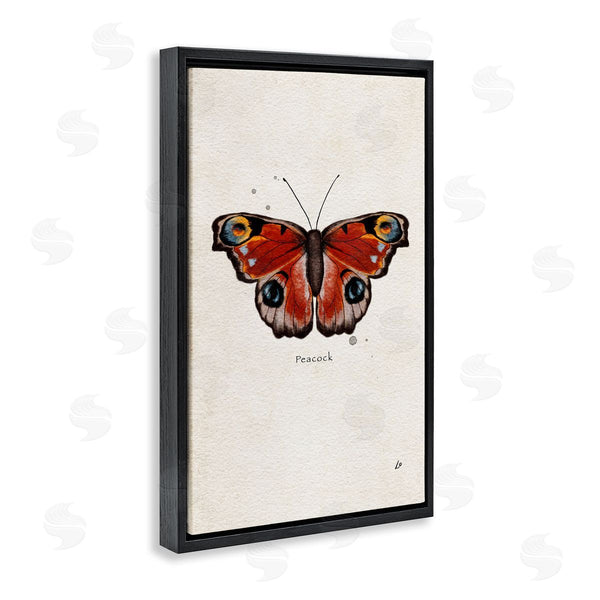 Stupell Industries Lydia Orange | Peacock Butterfly Study
