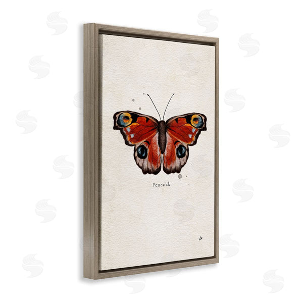 Stupell Industries Lydia Orange | Peacock Butterfly Study