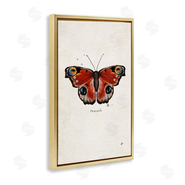Stupell Industries Lydia Orange | Peacock Butterfly Study