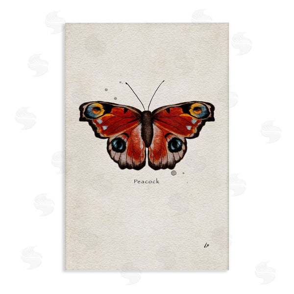 stupell industries Lydia Orange | Peacock Butterfly Study