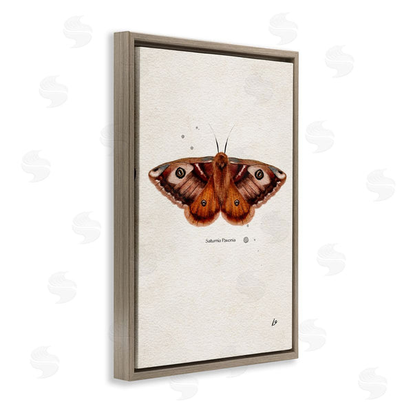 Stupell Industries Lydia Orange | Scientific Orange Moth