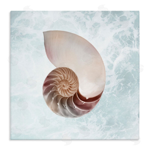 stupell industries Marcus Prime | Aquatic Nautilus Spiral Seashell Wall Art