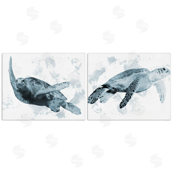 stupell industries Marcus Prime | Blue Weathered Turtle Portraits