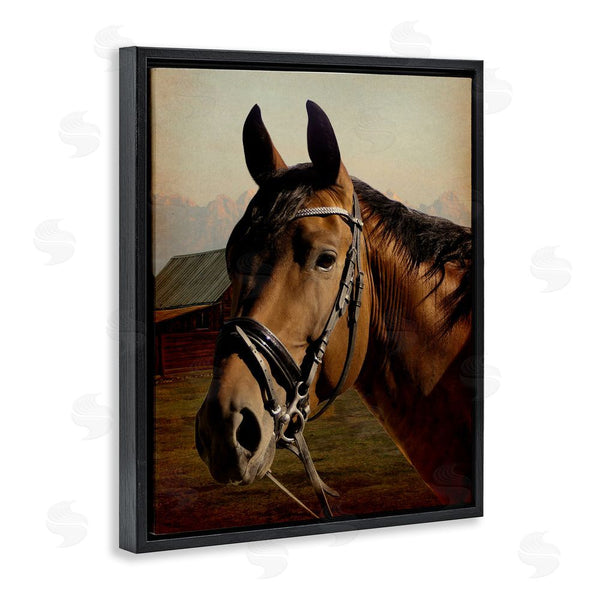 Stupell Industries Marcus Prime | Brown Horse Portrait Wall Art