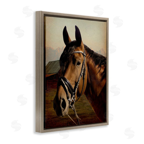 Stupell Industries Marcus Prime | Brown Horse Portrait Wall Art