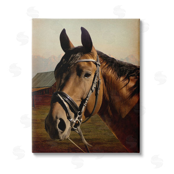 stupell industries Marcus Prime | Brown Horse Portrait Wall Art