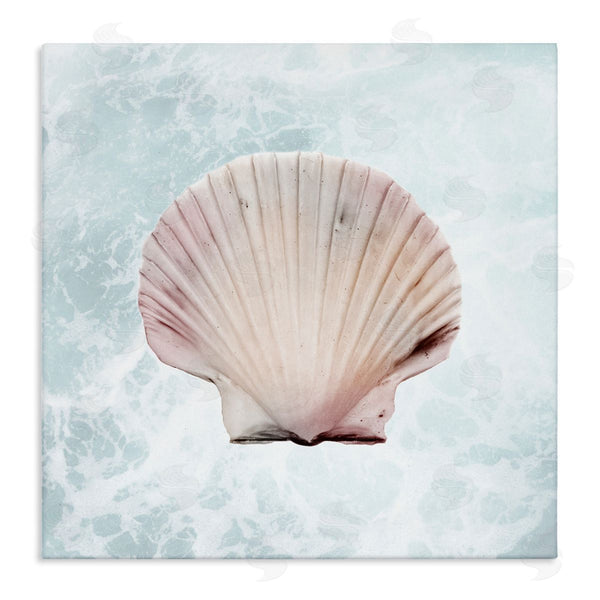 stupell industries Marcus Prime | Clam Shell Sea Water Wall Art