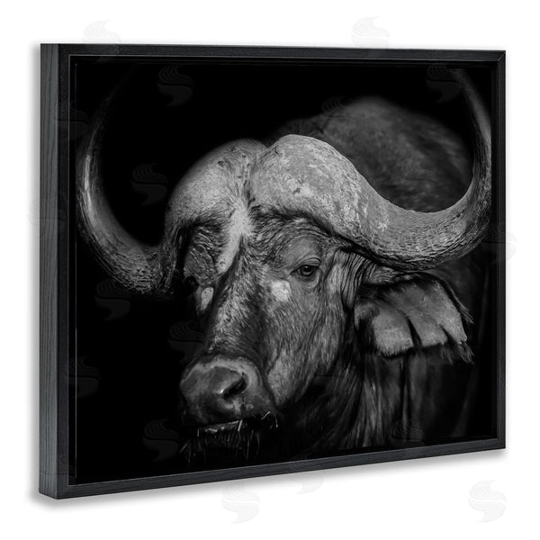 Stupell Industries Marcus Prime | Dark Buffalo Photography