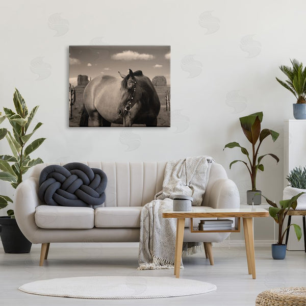 Stupell Industries Marcus Prime | Desert Horse Photography Wall Art