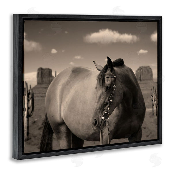 Stupell Industries Marcus Prime | Desert Horse Photography Wall Art